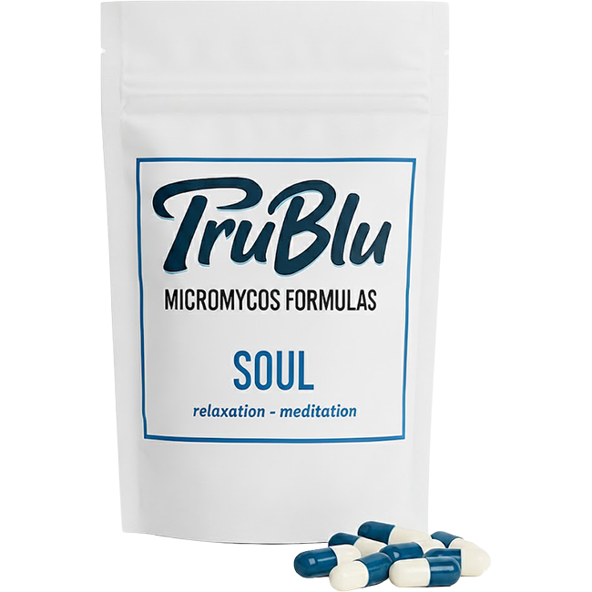 SOUL FORMULA - Image 1